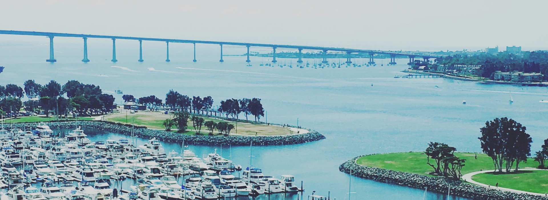 San Diego Marina lookout view with gorgeous trees surrounding the area